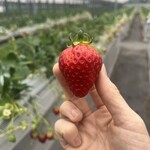 姫路ハートフル観光農園 - 