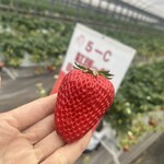 姫路ハートフル観光農園 - 