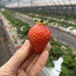 姫路ハートフル観光農園 - 