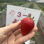 姫路ハートフル観光農園 - 