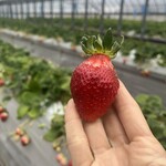 姫路ハートフル観光農園 - 