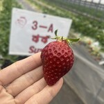 姫路ハートフル観光農園 - 