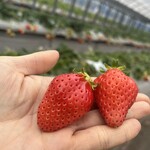 姫路ハートフル観光農園 - 