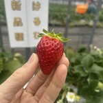 姫路ハートフル観光農園 - 