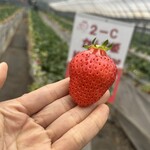 姫路ハートフル観光農園 - 