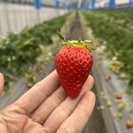 姫路ハートフル観光農園 - 