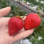 姫路ハートフル観光農園 - 