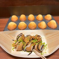 スガラボヴィー - 