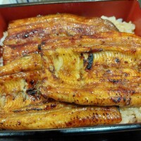 日本料理 きた山 新横浜店 - 