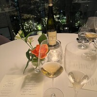 Plaiga TOKYO - 
