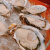 Oyster Lab - 