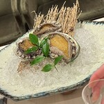野々庵 - 《活きあわび》白ワインをかけると、激しく動きます