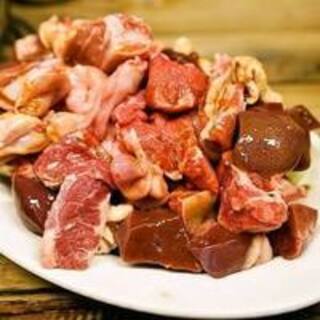 ニューワンちゃん_1