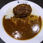 CoCo壱番屋 - ハンバーグカレー（ビーフ）