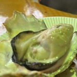 KAKI GORO - 牡蠣もだいぶ大きくなってきました！