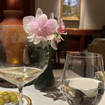 アピシウス - いつもユトリロとともに