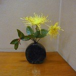 明月庵 ぎんざ 田中屋 - 