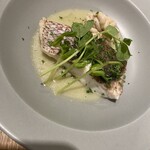 Txiki Plaka - ガーリックオイル煮