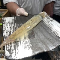 鮨 からす 十三店 - 