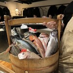 なきざかな 新宿店 - 