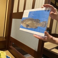 土佐料理 祢保希 銀座店 - 