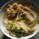 手打うどん たむら - かけ＆かき揚げ