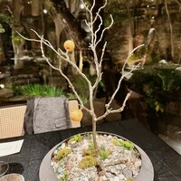 イノベーティブ フレンチ ワタハン - 