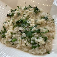 REGA STRADA - 本日のリゾット:広島県産牡蠣とエストラゴン、牡蠣のエキスが沁み沁み、よもぎの青さと合う