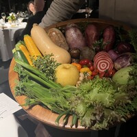 レフェルヴェソンス - 