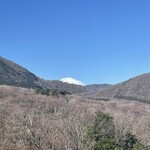 ハイアットリージェンシー箱根リゾート＆スパ - 