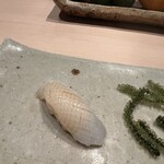 匠 誠 - ヤリイカ