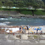 杉ケ瀬ヤナ - 川の三分の一くらいがヤナになっています