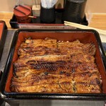 Unagi Musashino - 