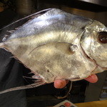 ちゃきちゃき - いとひき