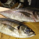 ちゃきちゃき - あじ