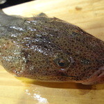 ちゃきちゃき - こち