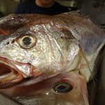 ちゃきちゃき - いしもち