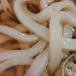 Yashima - 麺はこんな感じ
                        うどんとしては細めかな
                        そこそこコシもあり