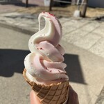 好文茶屋 - 綺麗なコントラストですね。