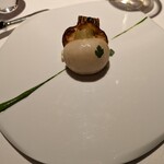 レフェルヴェソンス - 