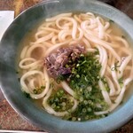 Junteuchi Udon'Ya - 肉うどん（麺増量）