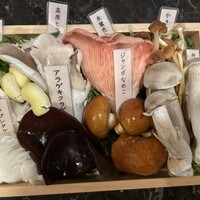 シャングリラズシークレット 銀座店 - 