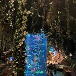 レインフォレストカフェ・トーキョー - 