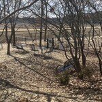 ラボラトワール メルシー - 右奥がドッグランスペース✨小型犬専用だったかな？