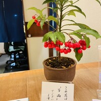 新宿 京懐石 柿傳 - 