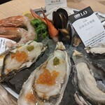 Oyster Plates - 