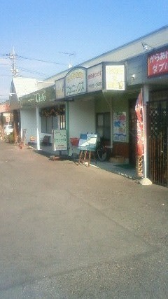フェニックス name=