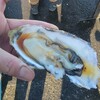 魚売場　森田水産 那珂湊魚市場前