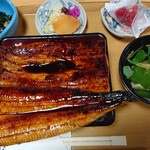 うなぎ和食処 松の家 - 鰻重定食