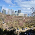 h Ajiyoshi - 大阪城公園の梅林は散り始め